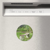 Gartenbank Magnet (In Situ (Geschirrspüler))
