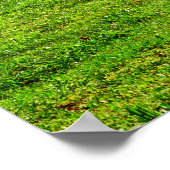 Gartenbank mit Blick auf See/Teich Poster (Ecke)