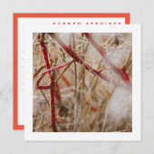 Gartenbau Business Cards Wilde Rose Einladung (Vorne/Hinten)