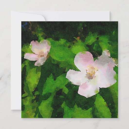 Gartenbau Business Cards Wilde Rose Einladung (Vorderseite)