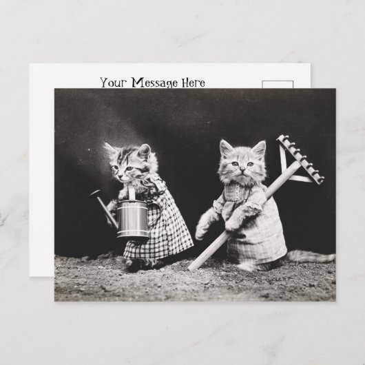Gartenbau Kätzchen | Kitty with Rake Postkarte (Vorne/Hinten)