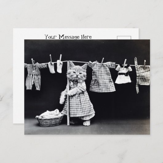 Gartenbau Kätzchen | Kitty with Rake Postkarte (Vorne/Hinten)