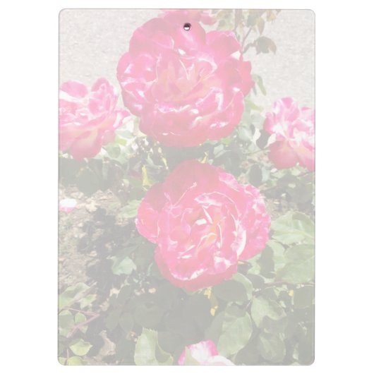 Gartenbau Rose I Klemmbrett (Rückseite)