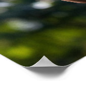 Gartenbauer mit Tomatenaufdruck Poster (Ecke)