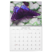 Gartenbesucher - Kalender 2022 (Jan 2026)