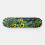 Gartenblick, Gänseblumen, Kosmos, Sonnenblumen, Ma Skateboard (Horizontal)