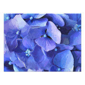 GARTENBLUME FOTODRUCK (Vorne)