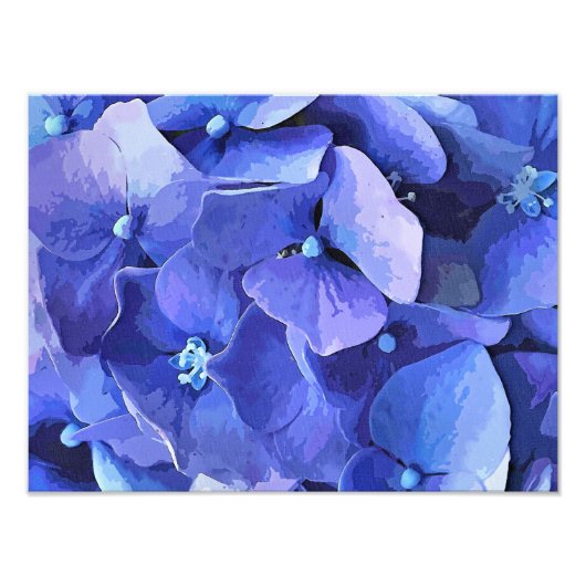 GARTENBLUME FOTODRUCK (Vorne)