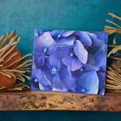 GARTENBLUME FOTOPLATTE (Seite)