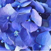 GARTENBLUME FOTOPLATTE