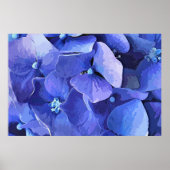 GARTENBLUME POSTER (Vorne)