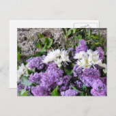 GARTENBLUME POSTKARTE (Vorne/Hinten)