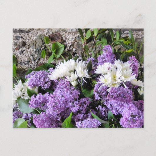 GARTENBLUME POSTKARTE (Vorderseite)