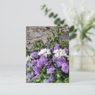 GARTENBLUME POSTKARTE