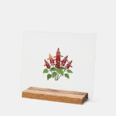 Gartenblume - Scharlachroter Salbei  Acrylschild (Winkel)