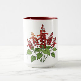 Gartenblume - Scharlachroter Salbei  Tasse