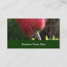 Gartenblume