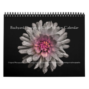Gartenblumen 91 Farbversion Kalender