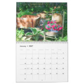 Gartenblumen im Hinterhof Kalender (Jan 2027)