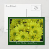 Gartenblumen in BC Postkarte (Vorne/Hinten)