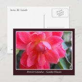 Gartenblumen in BC Postkarte (Vorne/Hinten)