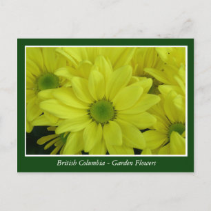 Gartenblumen in BC Postkarte