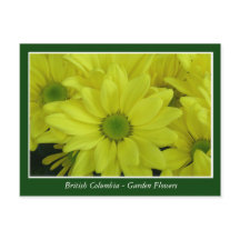 Gartenblumen in BC