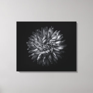 Gartenblumen in Schwarz-Weiß 20 Leinwanddruck