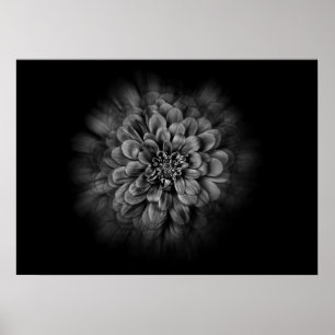Gartenblumen in Schwarzweiß Nr. 54 Flow Poster