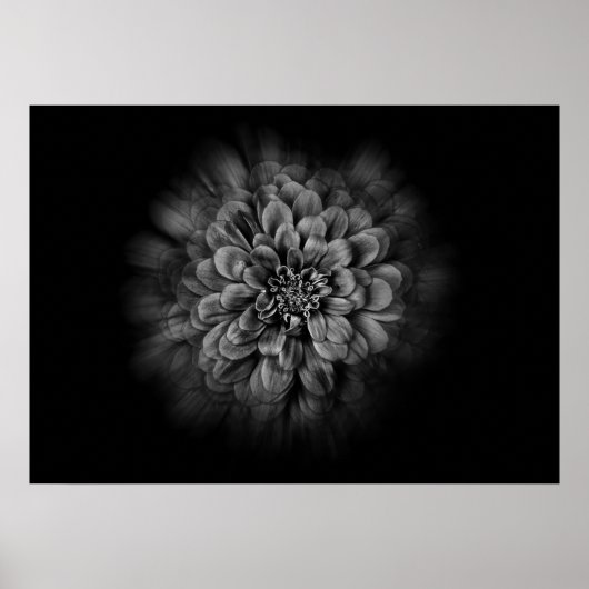 Gartenblumen in Schwarzweiß Nr. 54 Flow Poster (Vorne)
