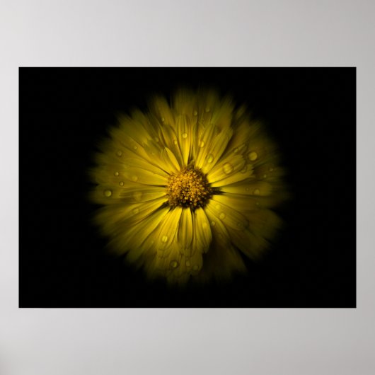 Gartenblumen Nr. 10 Farbfluss-Version Poster (Vorne)