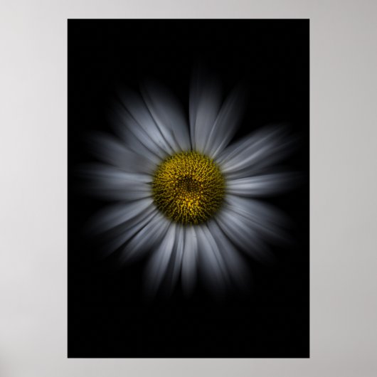 Gartenblumen Nr. 13 Color Flow Version Poster (Vorne)