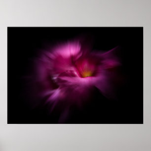 Gartenblumen Nr. 2 Color Flow Version Poster