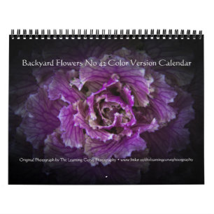 Gartenblumen Nr. 42 Farbversion Kalender