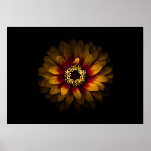 Gartenblumen Nr. 69 Farbversion Poster