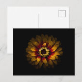 Gartenblumen Nr. 69 Farbversion Postkarte (Vorne/Hinten)