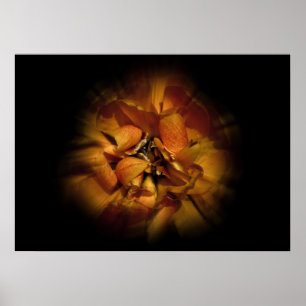 Gartenblumen Nr. 80 Color Flow Version Poster