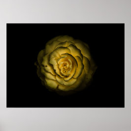 Gartenblumen Nr. 85 Farbversion Poster