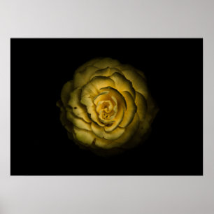 Gartenblumen Nr. 85 Farbversion Poster
