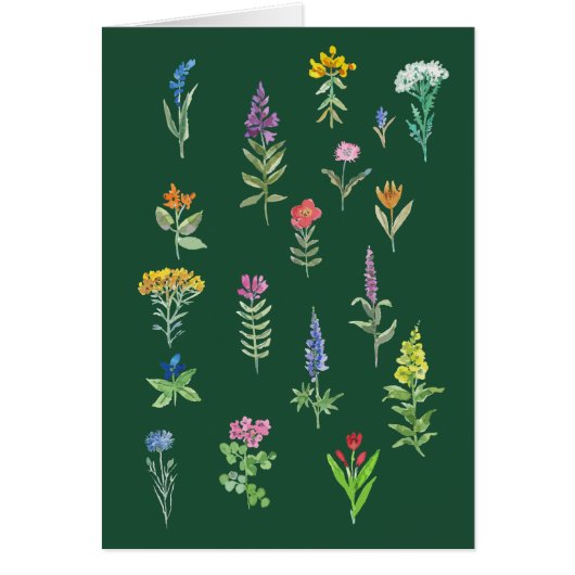 Gartenblumen Postkarte (Vorne)