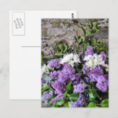 GARTENBLUMEN POSTKARTE (Vorne/Hinten)