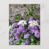 GARTENBLUMEN POSTKARTE (Vorderseite)