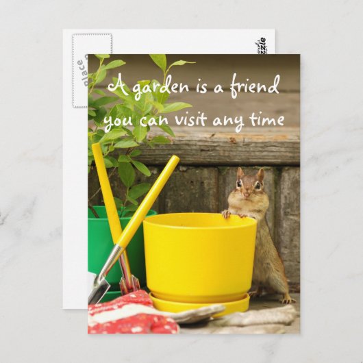 GartenChipmunk mit Angebotskarte Postkarte (Vorne/Hinten)