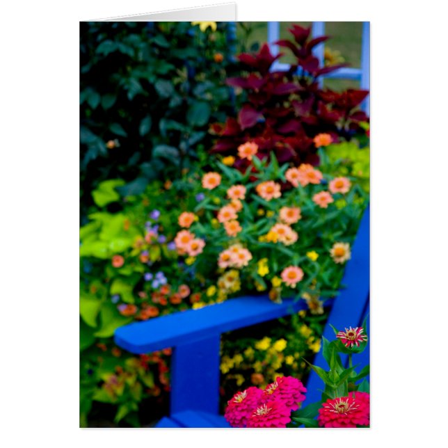 Gartendesigns in unserem Garten Sammamish, (Vorne)
