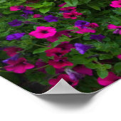 Gartendesigns in unserem Garten Sammamish, Poster (Ecke)