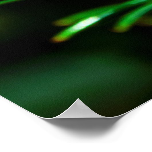 Garteneidechse Poster (Ecke)