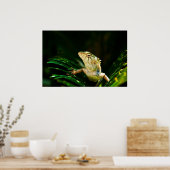 Garteneidechse Poster (Küche)