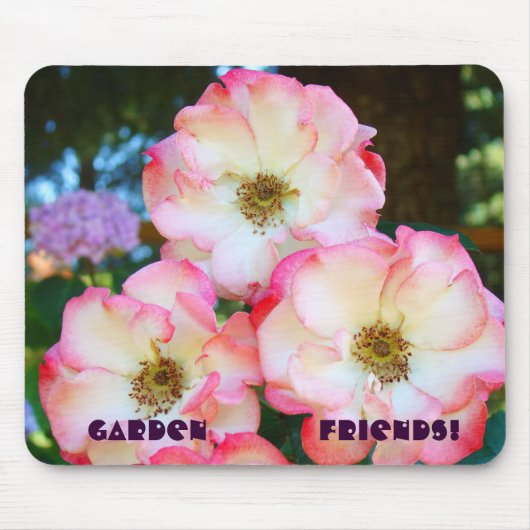 Gartenfreunde! Mousepad Pink White Rose Garden (Vorne)