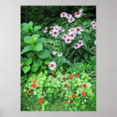 Gartengarten Blume Coneflower Nasturtium Poster (Vorne)