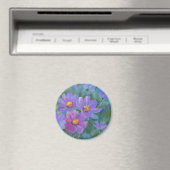 Gartengarten-Blume (Cosmos bipinnatus, mexikanisch Magnet (In Situ (Geschirrspüler))